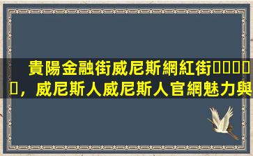 貴陽金融街威尼斯網紅街，威尼斯人威尼斯人官網魅力與無限活力